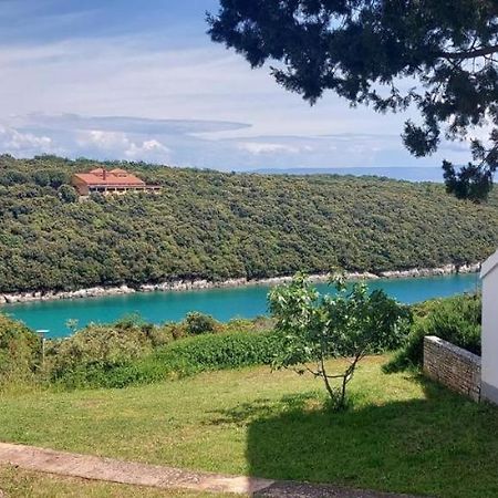 Studio Apartment Jadranko Duga Uvala Krnica Dış mekan fotoğraf
